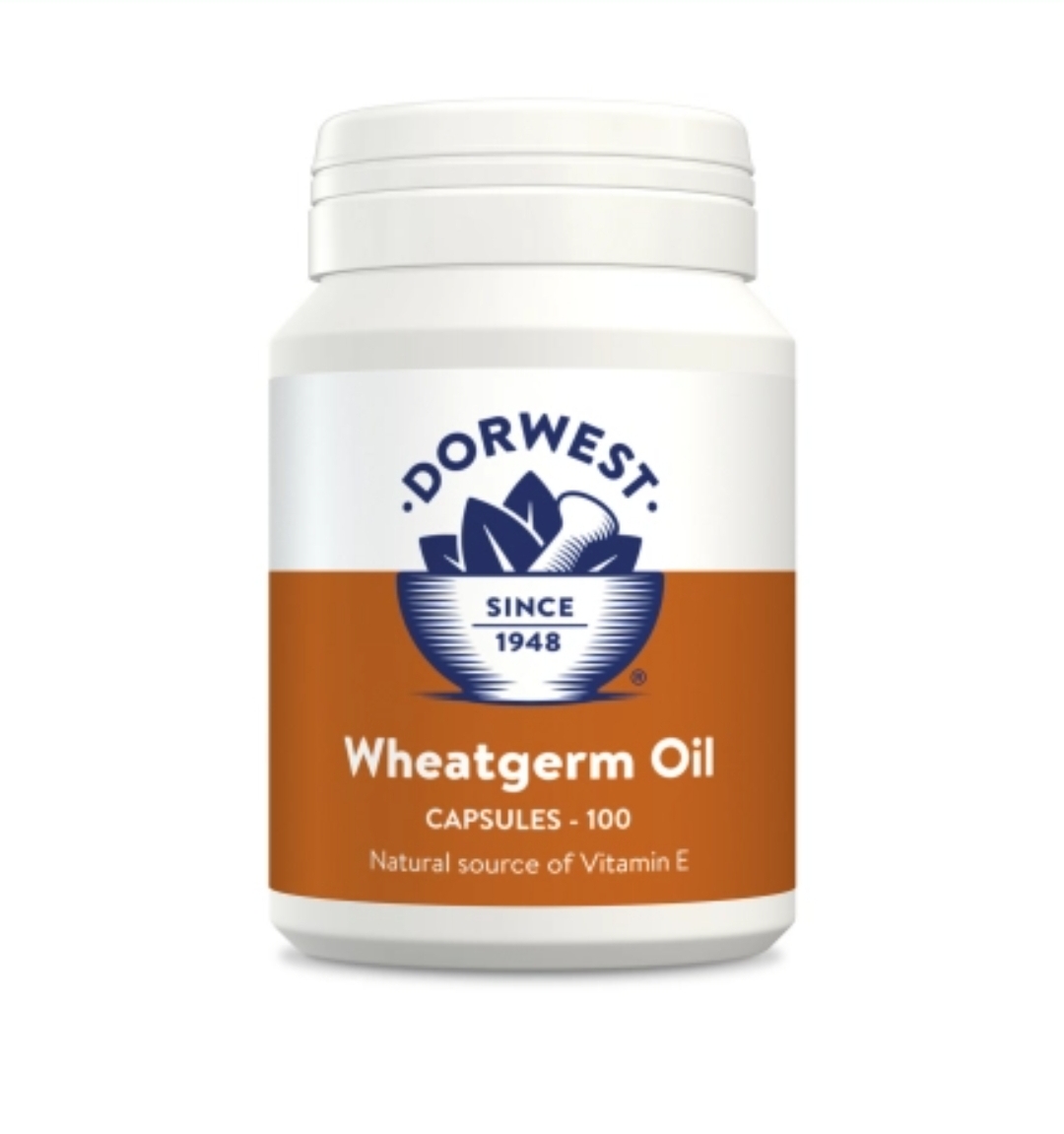 wheatgerm oil capsules