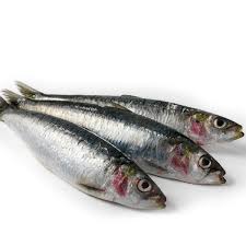landywoods sardines